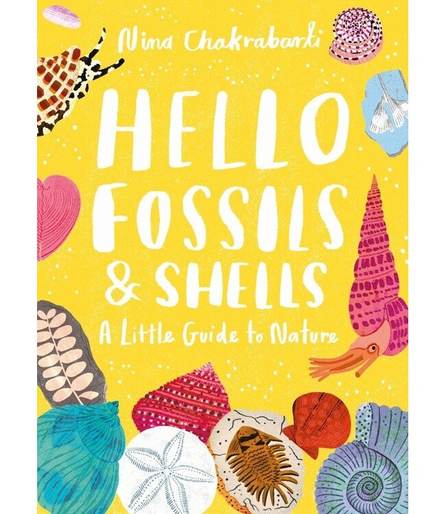 Little Guides to Nature: Hello Fossils and Shells