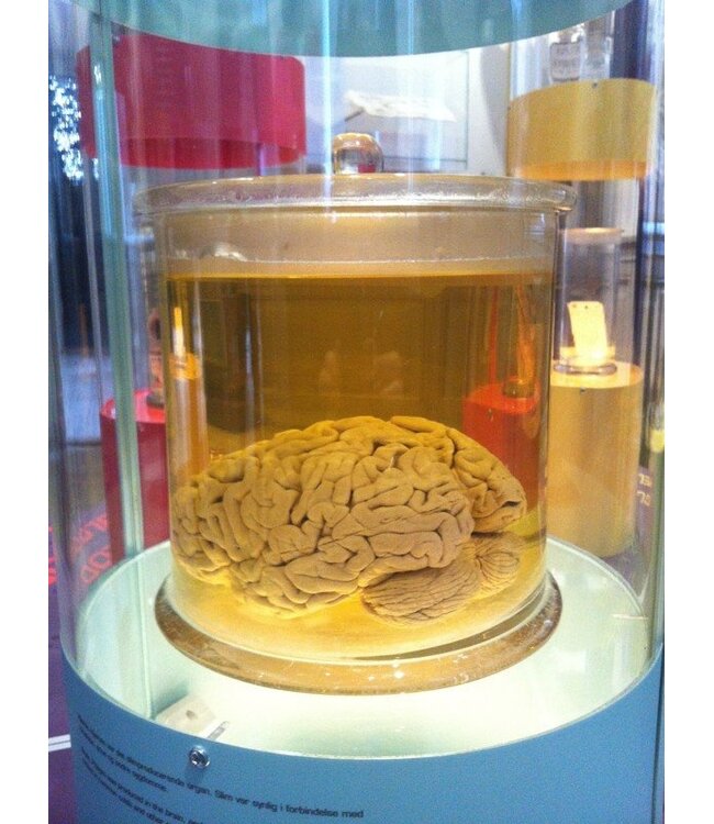 The Secret Of The Highly Creative Thinker
