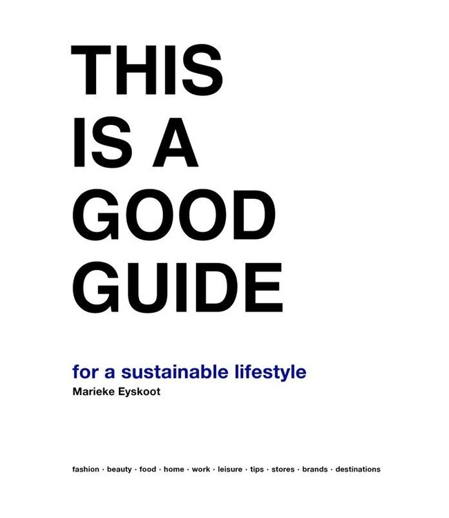 Lean Innovation Guide