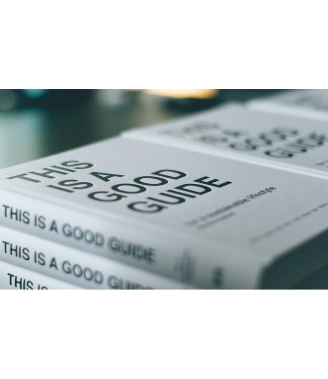Lean Innovation Guide