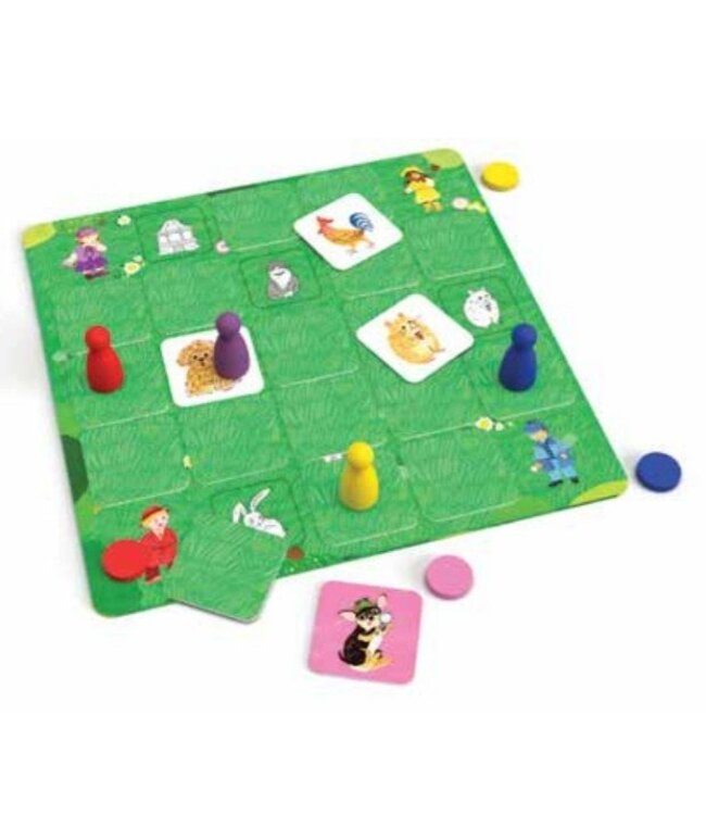 Flip & Find Pet Detectives