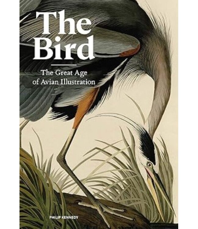 The Bird