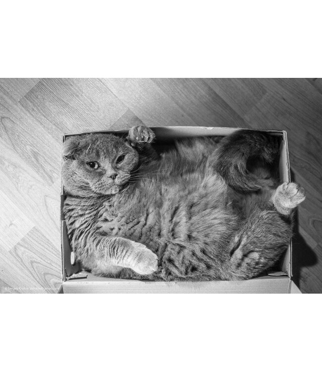 When The Box Is The Limit