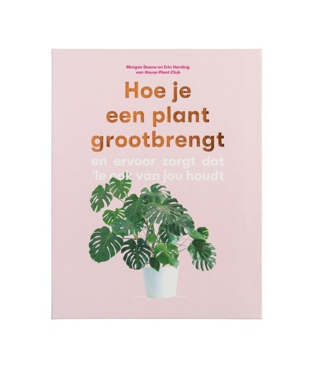 Hoe je een plant grootbrengt