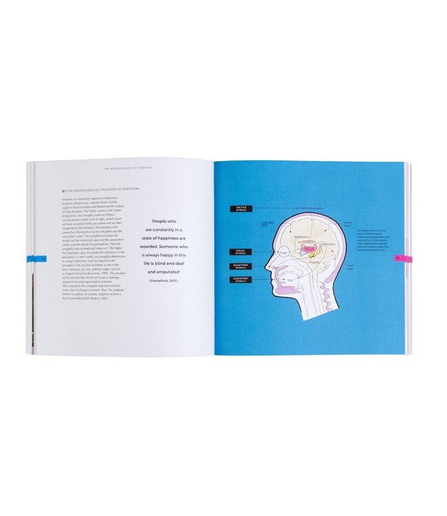 Different Brains, Different Approaches