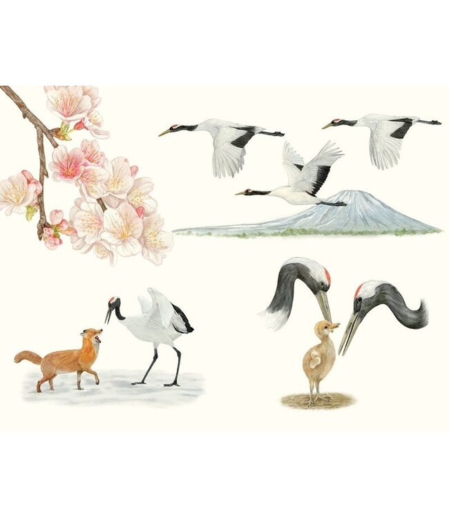 Around the World in 80 Birds