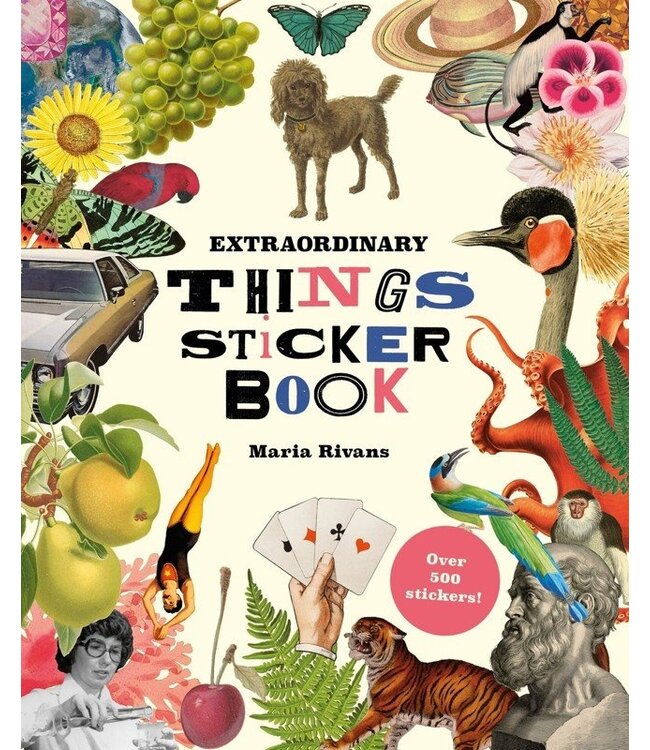 Extraordinary Things Sticker Book