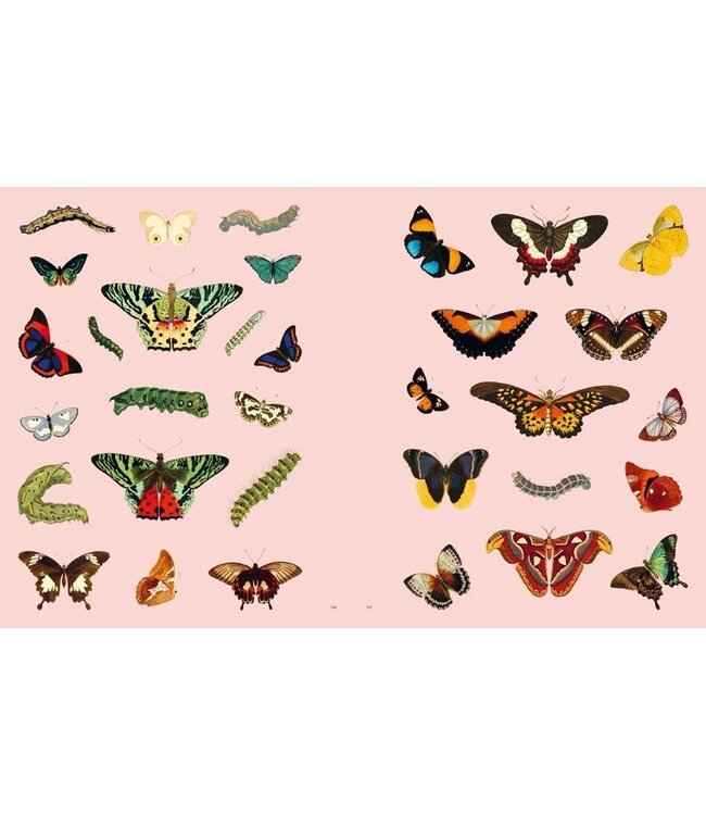 Extraordinary Things Sticker Book