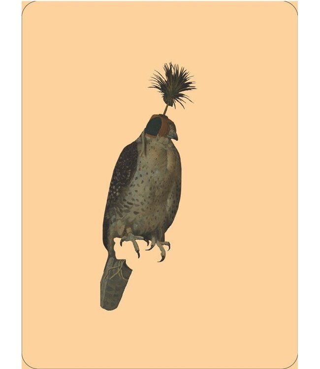 Animals Out of Art