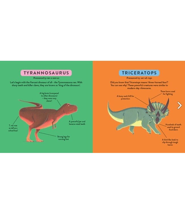 My First Dinosaur Book