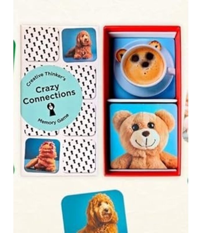 Creative Thinker's: Crazy Connections Memory Game