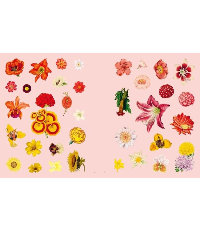 Extraordinary Things Sticker Book