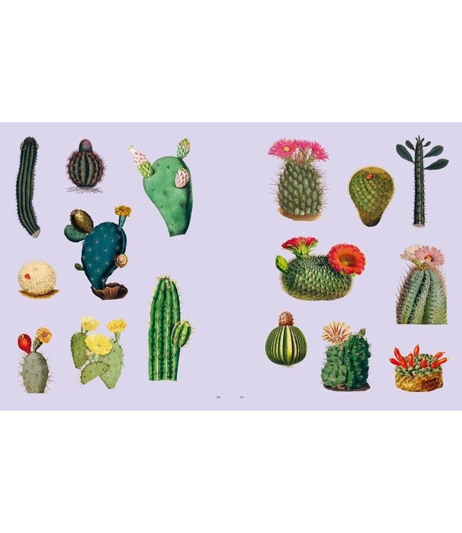 Extraordinary Things Sticker Book