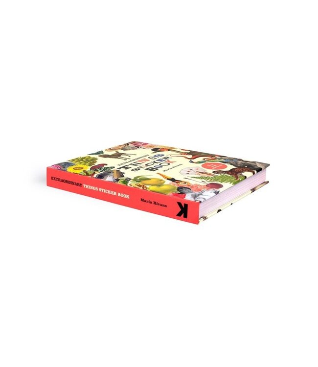 Extraordinary Things Sticker Book