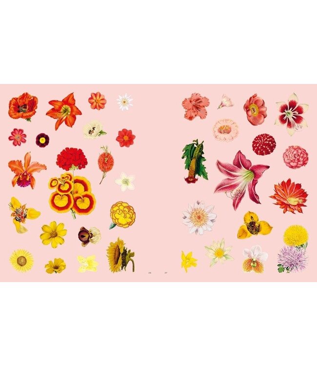 Extraordinary Things Sticker Book