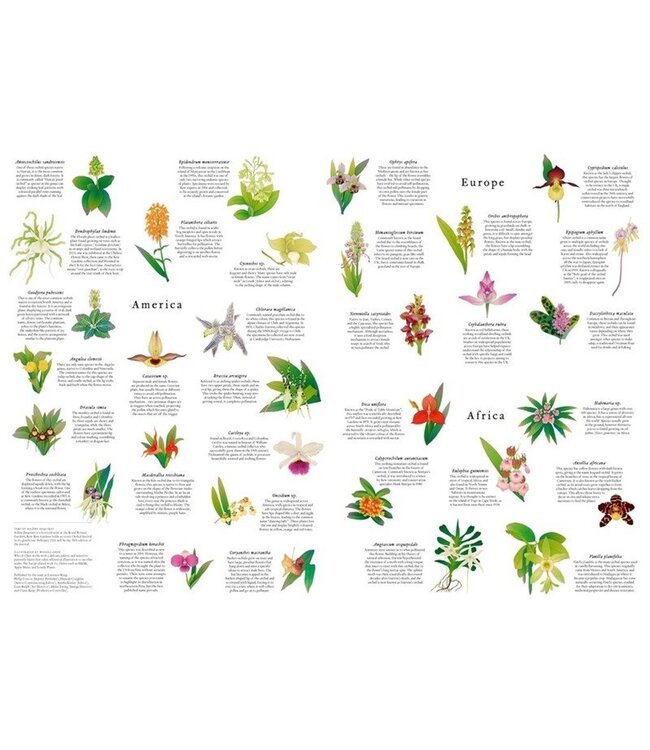 Around the World in 50 Orchids