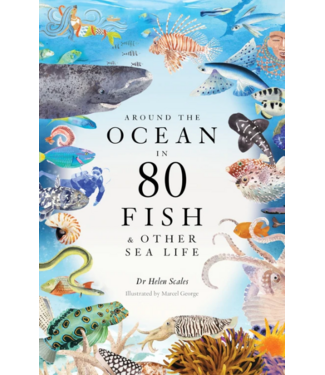 Laurence King Publishing Around the Ocean in 80 Fish and other Sea Life