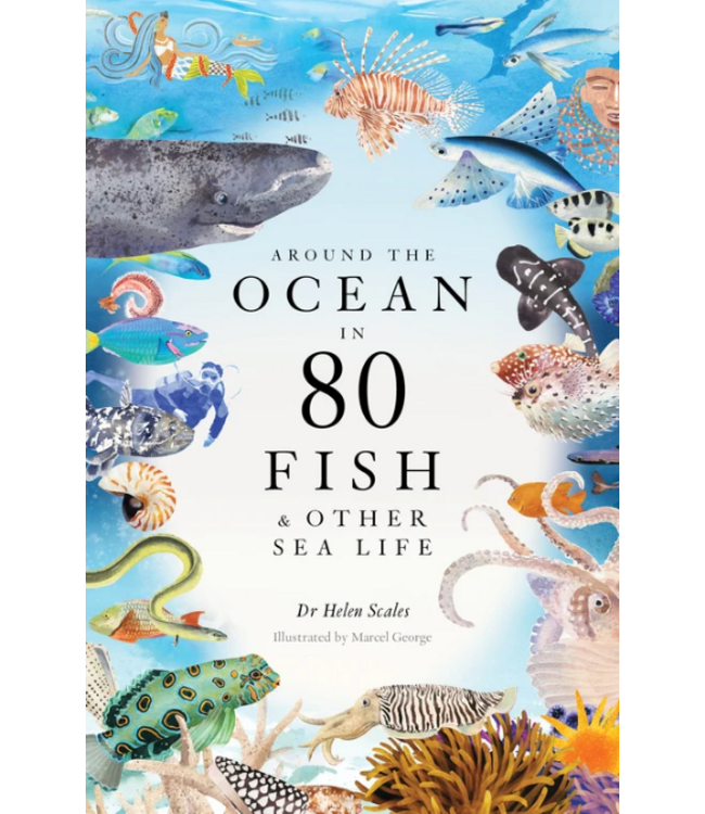 Around the Ocean in 80 Fish and other Sea Life
