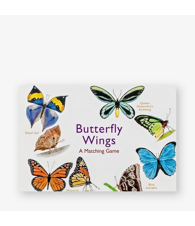 Butterfly Wings