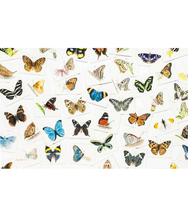Butterfly Wings