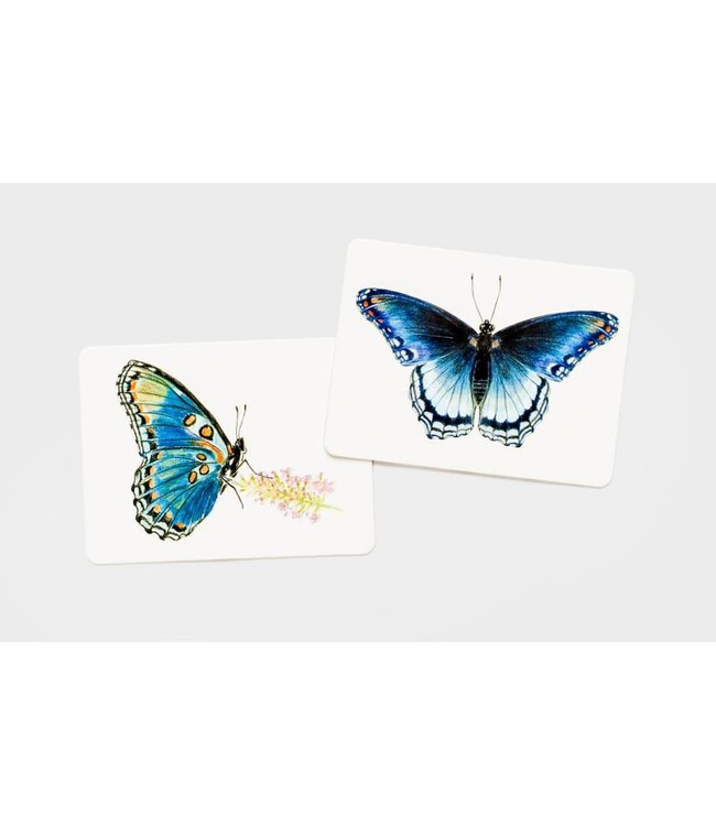 Butterfly Wings