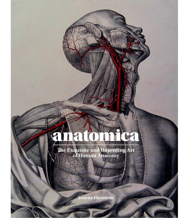 Anatomica