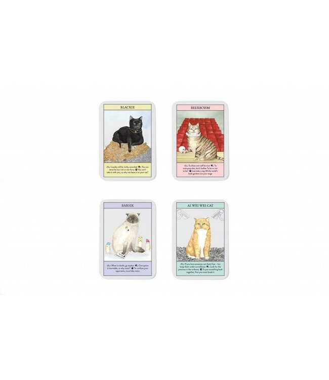Cat Gurus