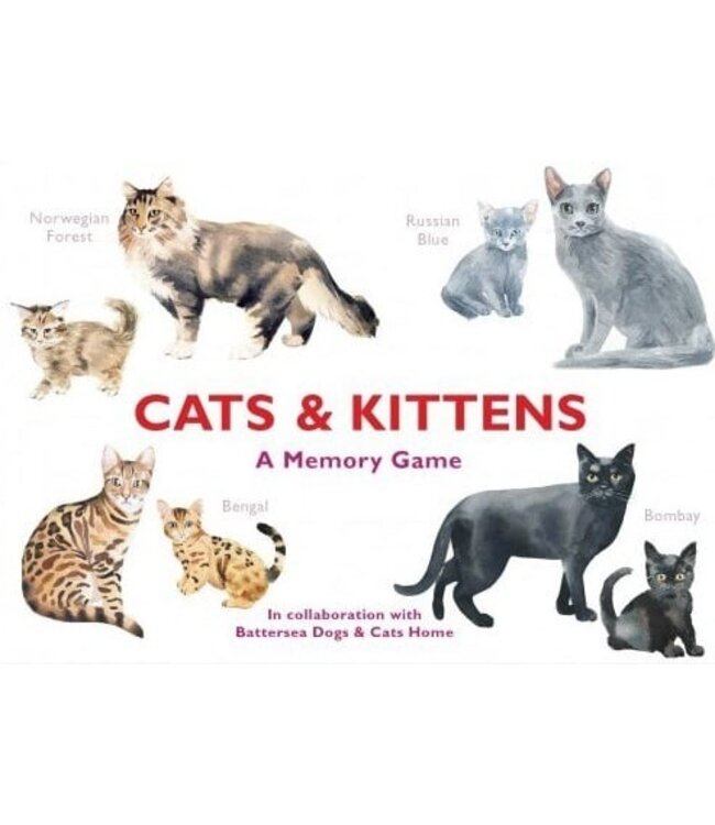 Cats & Kittens