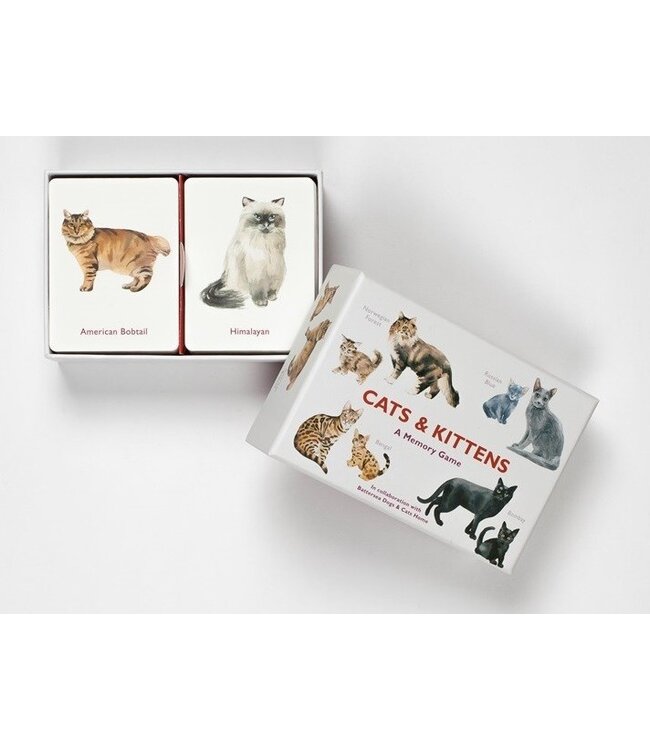 Cats & Kittens