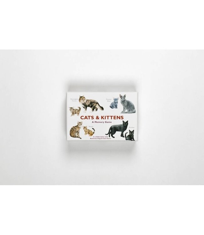 Cats & Kittens