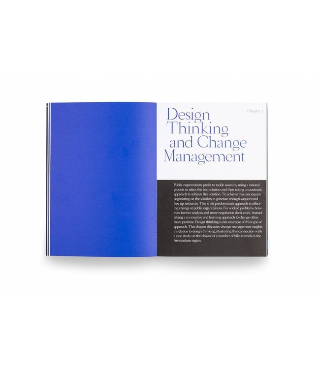 Designing With and Within Public Organizations
