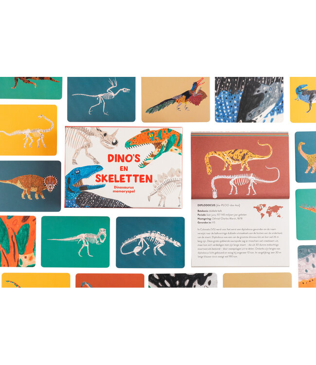 Dino’s en Skeletten