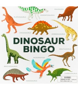 Caroline Selmes Dinosaur Bingo