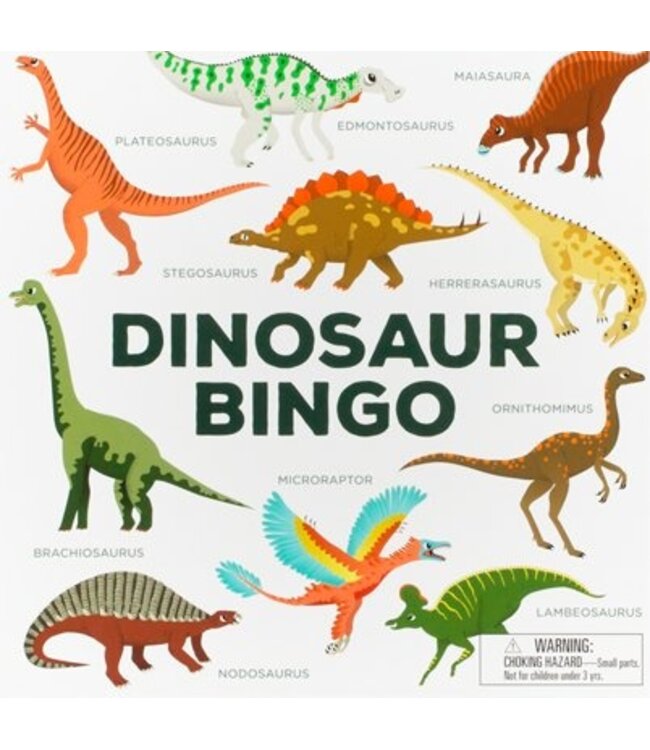 Dinosaur Bingo
