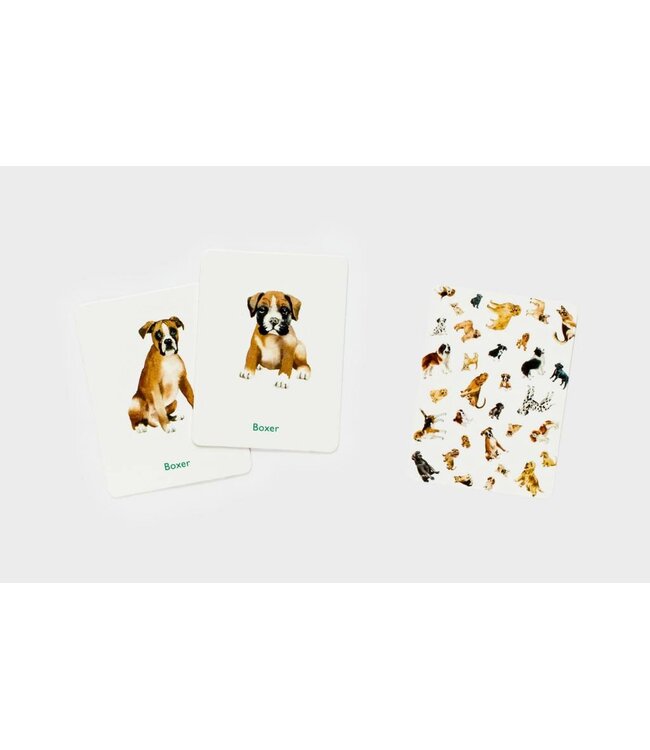 Dogs & Puppies