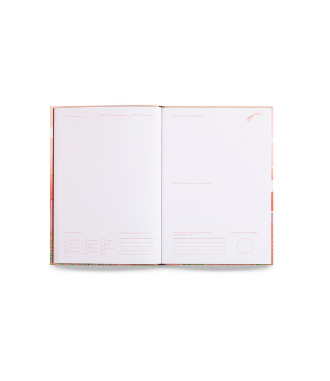 Droomdecoder - Logboek
