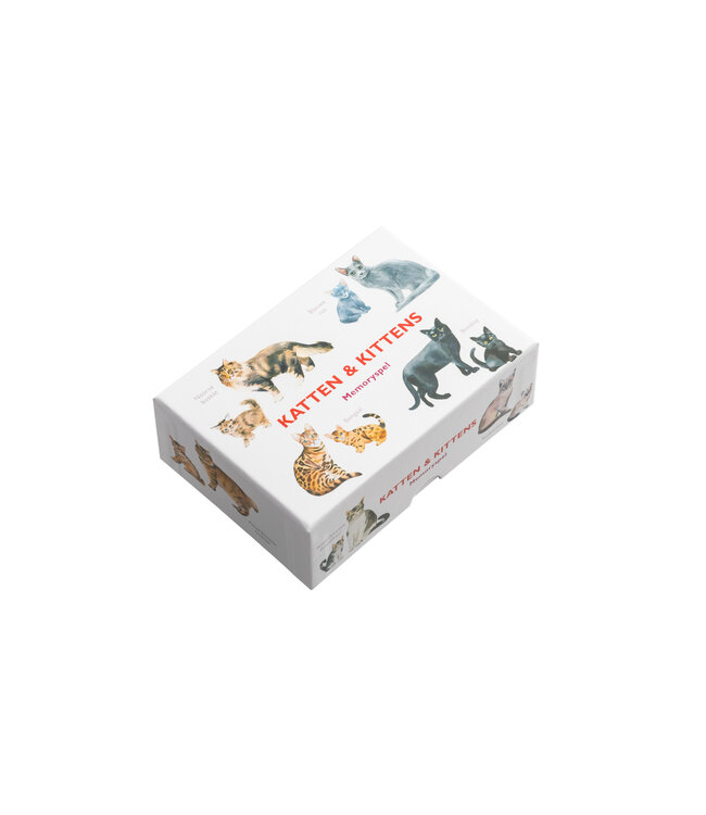 Katten & Kittens