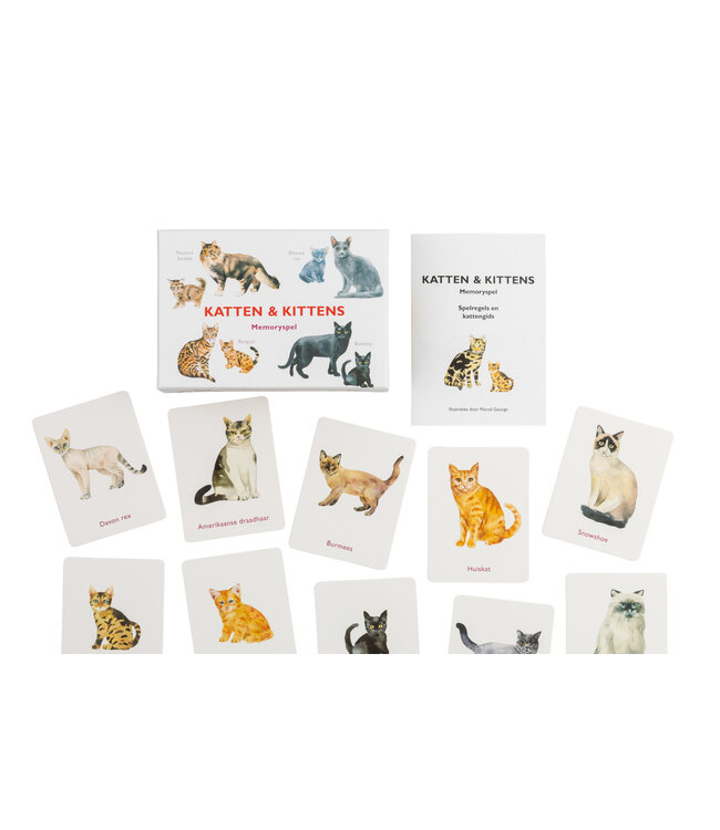 Katten & Kittens