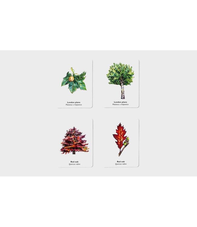 Match a Leaf