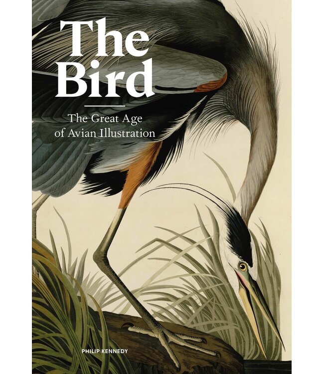 The Bird