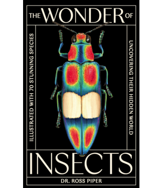 The Wonder of Insects: Uncovering their Hidden World