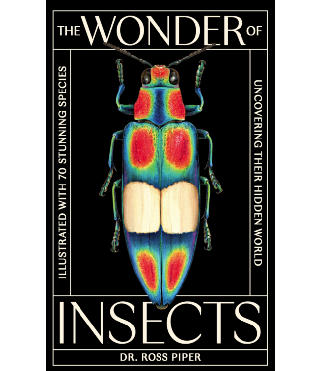 The Wonder of Insects: Uncovering their Hidden World