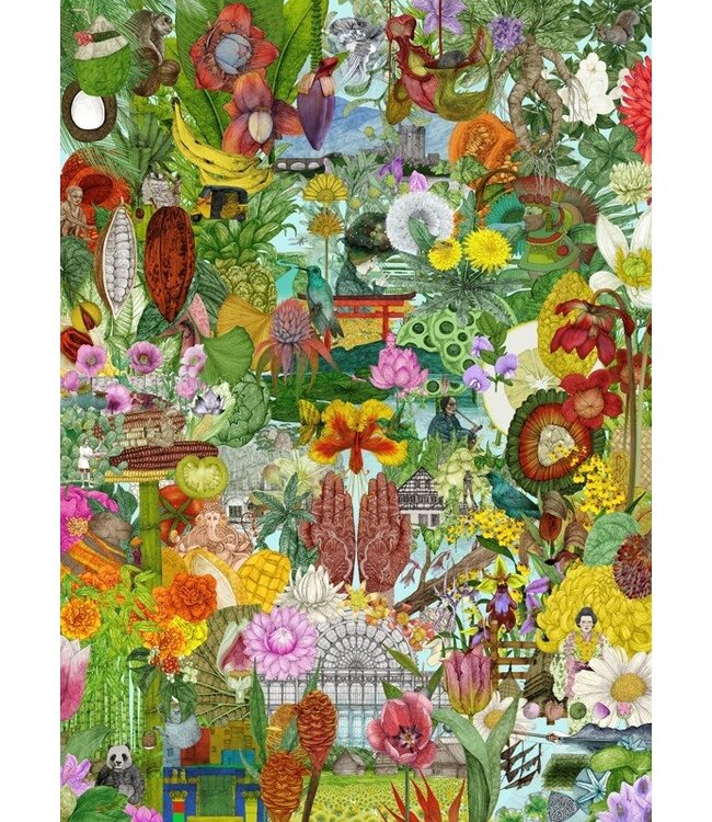 Around the World in 50 Plants