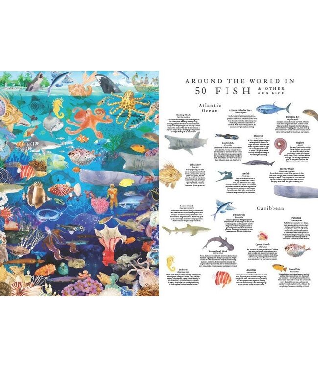 Around the World in 50 Fish & Other Sea Life