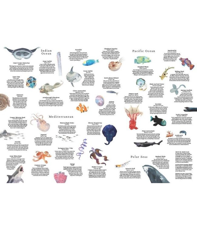 Around the World in 50 Fish & Other Sea Life