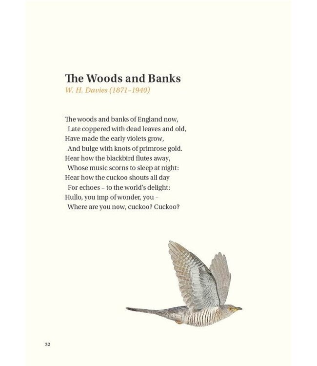 The Book of Bird Poems