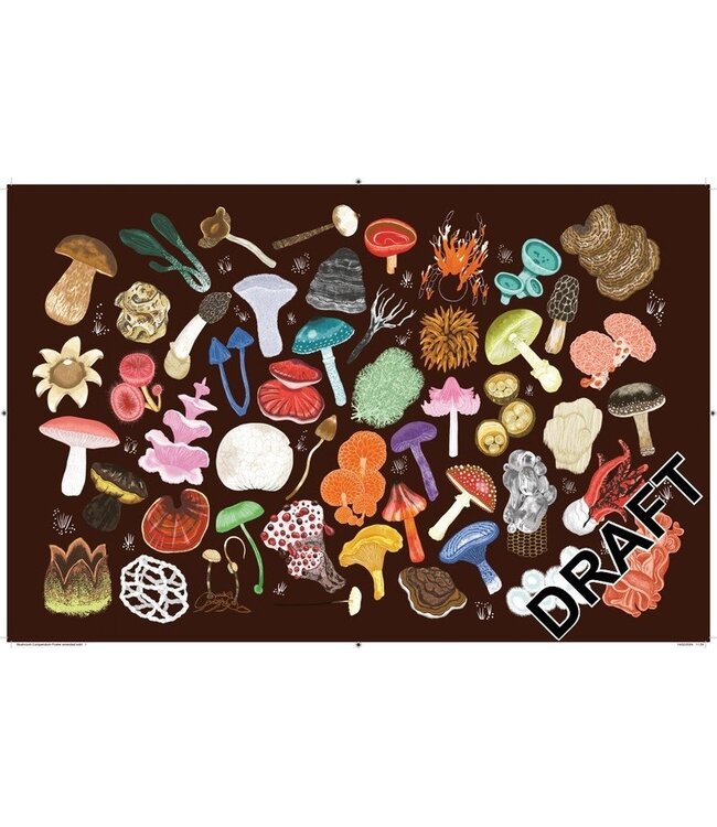 The Mushroom Compendium