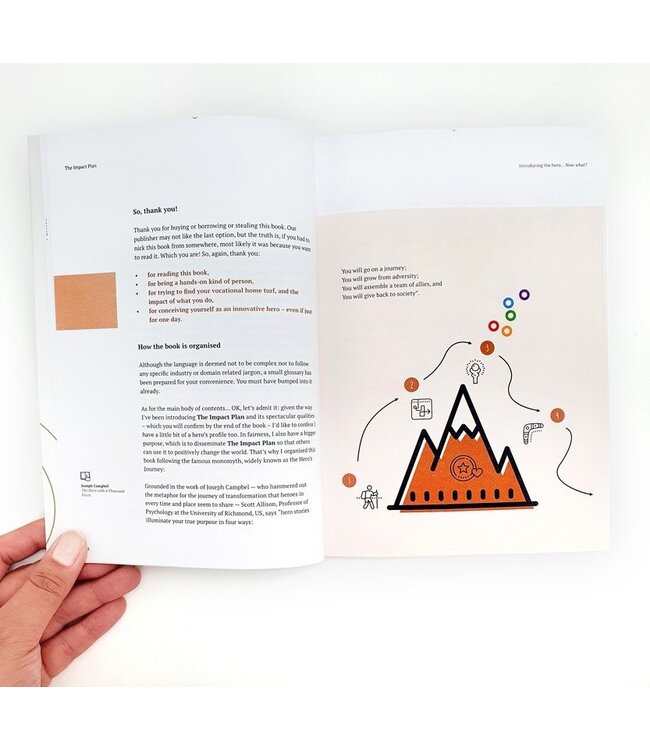 Impact Plan