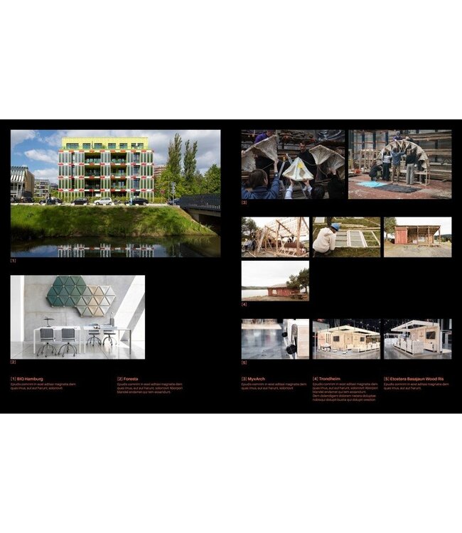 The Architecture of Circular Building Products