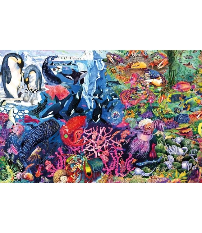 Into the Deep Sharing Puzzle